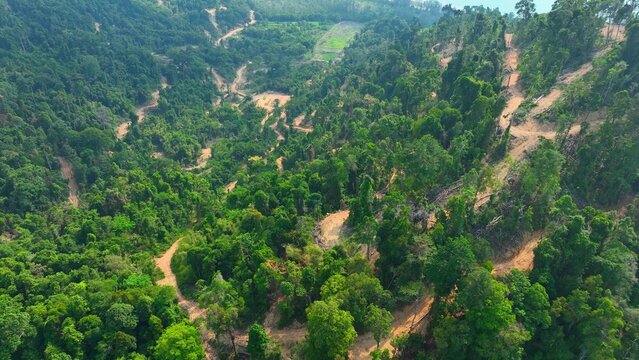 Aerial drone view of partially deforested hillside with remaining forest above, showing illegal logging impact, land degradation, and its contribution to climate change and global warming. 4k.
