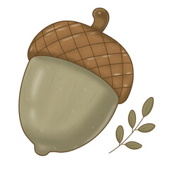 Cute Woodland Acorn Botanical Autumn Nature Clipart Illustration  © Wandi