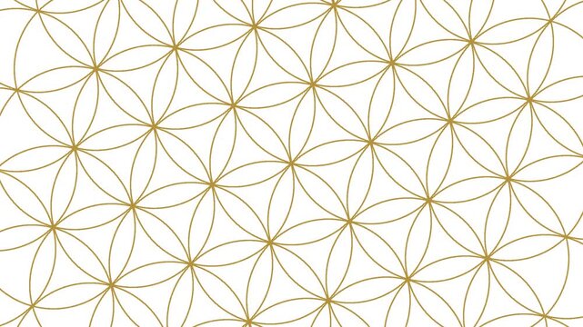 Nahtlose Schleife: Heilige-geometrie-hintergrund in Wei&szlig; und gold