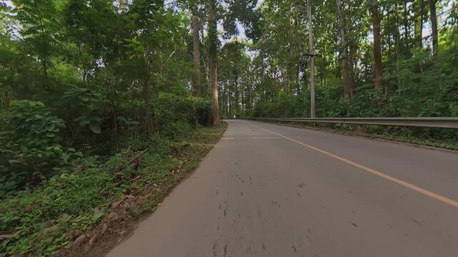 Scenic rural road winding through lush green forest, with tall trees, roadside vegetation, a guardrail and yellow center line creating a peaceful nature scene.