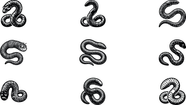 Set of hand drawn earthworm icons in vintage engraving style for nature and garden designs