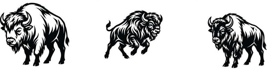 Obraz premium Three different illustrations of bison standing and running in a classic black and white style