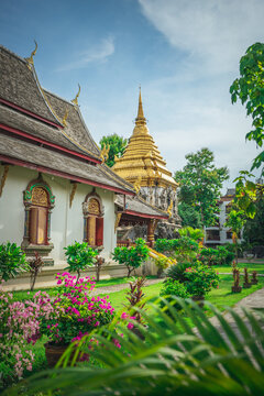 Garden landscape with the pagoda of Wat Chiang Man in Chiang Mai Old City, Thailand