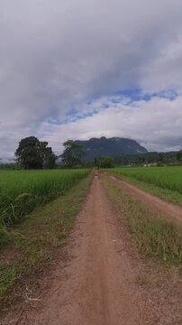 Vertical footage of a dirt road running through green rice fields toward a dramatic mountain landscape, with lush farmland and cloudy skies creating a peaceful rural scene.