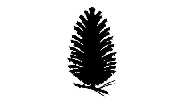 Black silhouette of a pinecone isolated on a white background with pinecone