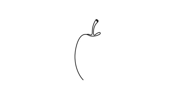 Continuous Line Drawing of a Fresh Apple Fruit, Simple Minimalist Art Style, Black and White Vector Illustration of a Whole Apple with Stem, Isolated on White Background for Design