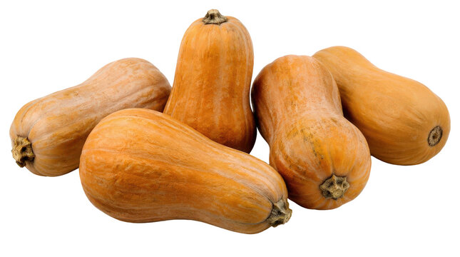 A group of five ripe butternut squashes with light orange skin and a distinctive bell shape, arranged on a white background.