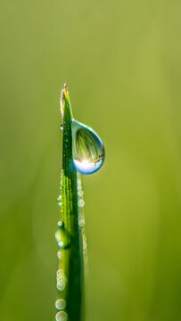Macro shot of a dewdrop on a blade of grass reflecting the sun