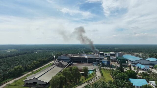 Panoramic aerial perspective of a sprawling palm oil industrial processing mill with blue roofs located in the center of endless green plantation trees. Agricultural economics.