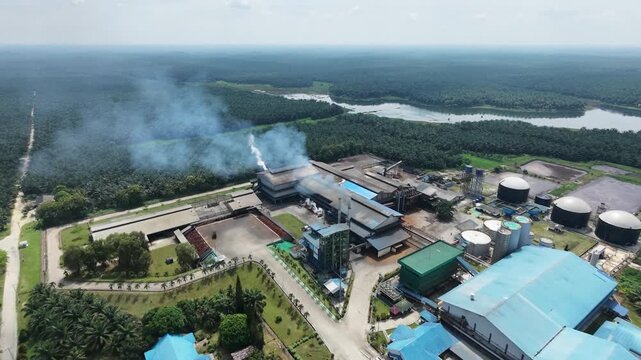 a crude palm oil extraction plant with distinct blue roofs set amidst a massive estate plantation. Industrial agriculture, manufacturing, and business background.