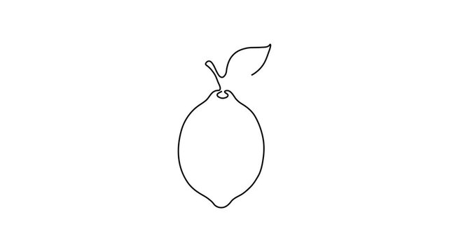 Continuous Line Drawing of a Fresh Lemon Fruit, Simple Minimalist Art Style, Black and White Vector Illustration of a Whole Lemon with Leaf, Isolated on White Background for Design