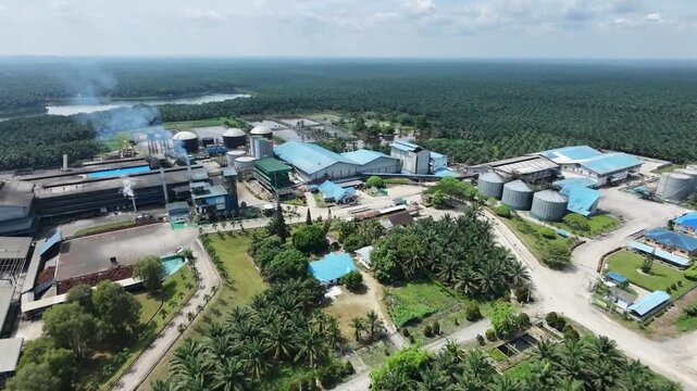 Aerial view of a palm oil processing factory featuring blue-roofed buildings and storage tanks, surrounded by vast green palm oil plantations and tropical forest under a clear sky.