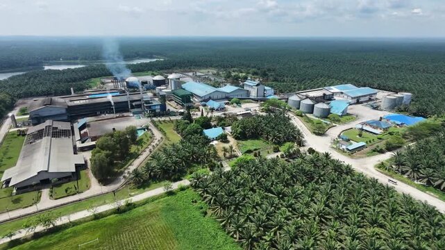 Aerial view of a palm oil processing factory featuring blue-roofed buildings and storage tanks, surrounded by vast green palm oil plantations and tropical forest under a clear sky.