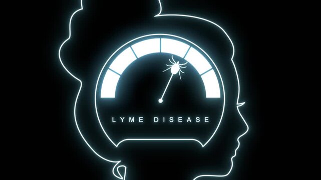 Lyme disease, Borreliosis or Borrelia risk value meter scale inside tick icon. Tick borne disease