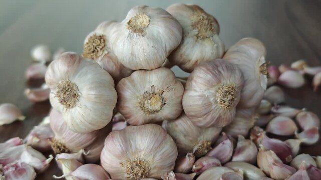 Garlic Bulb Herbal Plant Ingredient