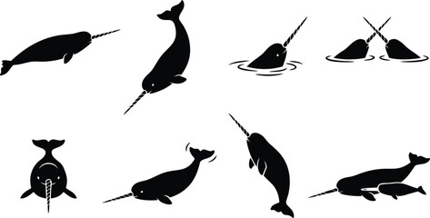 Narwhal set black silhouette icons showing swimming diving and surfacing poses © Khizar
