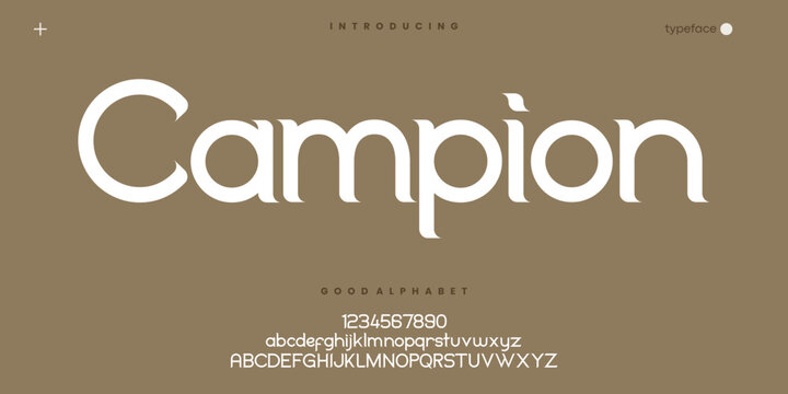 Modern Rounded Sans Serif Font for Logo Branding and Clean Typography
