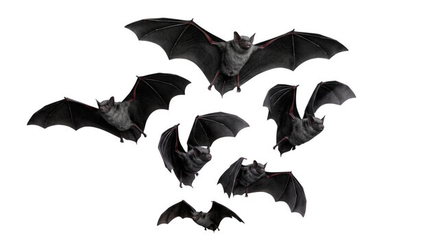 Halloween Bat Cluster with No Background, Transparent PNG