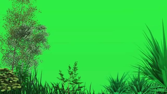 Green trees blowing in wind with grass silhouetted against a keyable bright green screen background