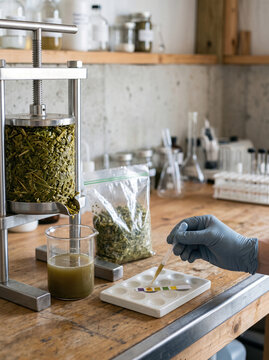Scientist Testing Plant Extract with Pipette and pH Strip