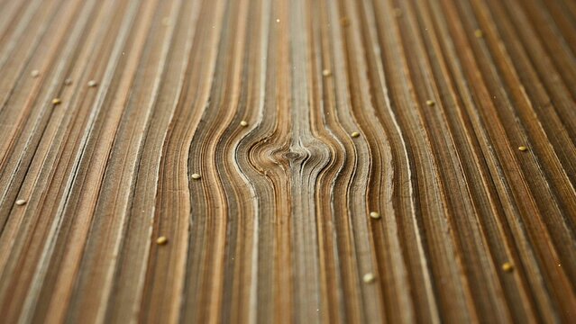 Macro shot of brushed wood grain texture with natural knot and particles, close-up wooden background