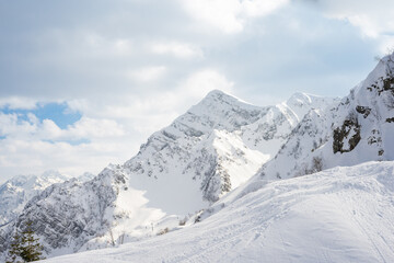 Fototapeta premium Winter mountain landscape with snow-covered pine forest and distant peaks