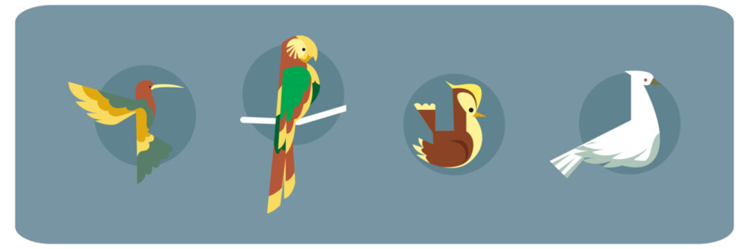 Bird silhouette icon set featuring colorful stylized avian species in flat vector illustration style