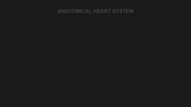 Anatomical Heart System Zoom Out Animation Medical Science Concept