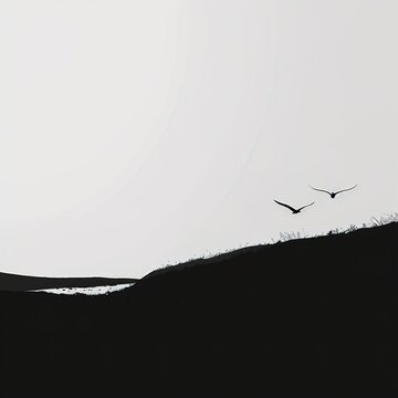 Two birds flying over landscape