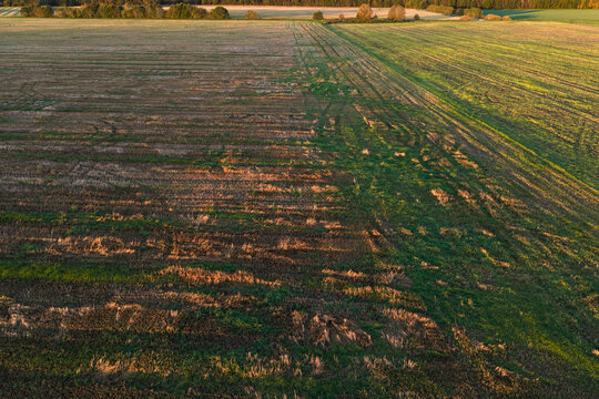 Aerial view of harvested agricultural field stubble and green farmlands during warm sunset light in Estonian countryside landscape.