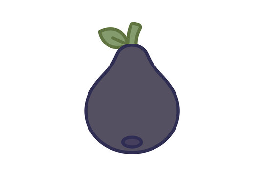 Fig Fruit Vector Illustration