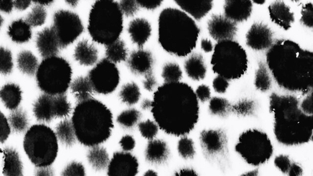 Abstract black and white halftone dot pattern background