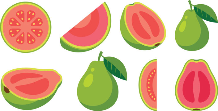 A comprehensive flat vector illustration set of fresh pink guava fruits . Slices, halves, whole fruit with leaves, white background .