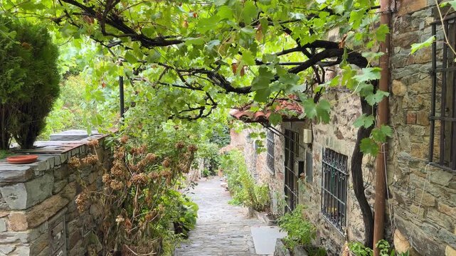 Patones stone alley in patones de arriba covered with vine leaves