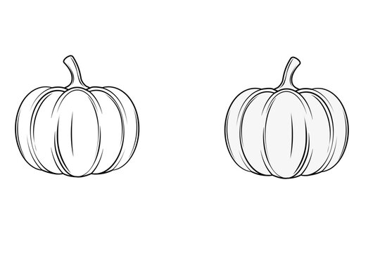 white pumpkin illustration autumnal minimalist icon