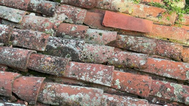 Patones old weathered roof tiles covered with moss
