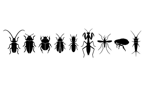 Black insect silhouette row with beetles mantis mosquito termite and silverfish vector set