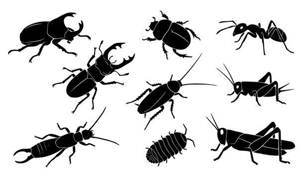 Black crawling insect silhouettes scattered beetle cockroach ant and cricket vector illustration