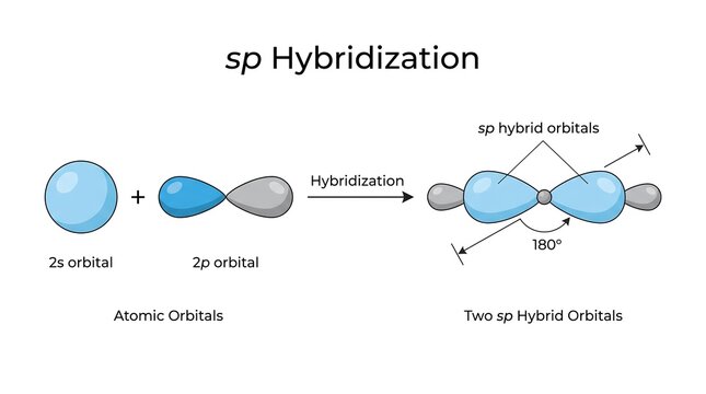 Diagram illustrating sp hybridization combining one s orbital and one p orbital to form two sp hybrid orbitals at 180 degrees