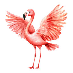 Fototapeta premium Watercolor Flamingo with Spread Wings White Background