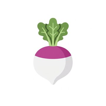Minimalist turnip vegetable vector on white background