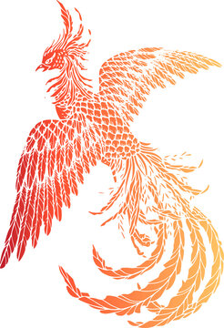 Chinese mythology, fire bird, Zhushue , Ancient vintage traditional four symbols sketch isolated line art illustration for tattoo, decorative clip art for graphic design
