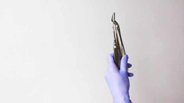 Gloved Hand Holding Dental Forceps And Probe Together