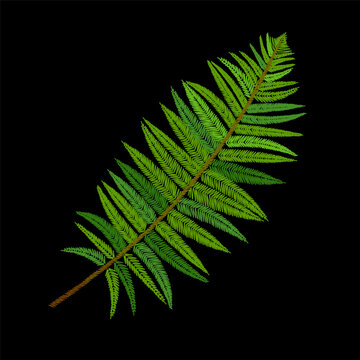 Green fern leaf embroidery design. Tropical botanical needlework stitch style. Fashion clothing patches stickers print. Black background hand-stitched vector art.