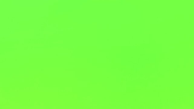 Bold 20 percent discount sale text animation on vibrant red