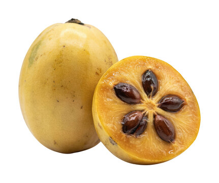 Fresh sapodilla png ripe chikoo png tropical isolated transparent background image