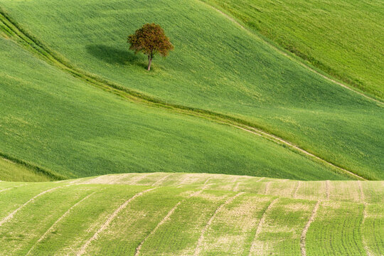 Hilly landscape