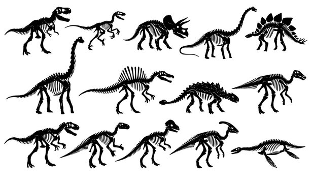Prehistoric dinosaur fossil skeleton silhouettes collection with T Rex and long neck dinosaurs vector