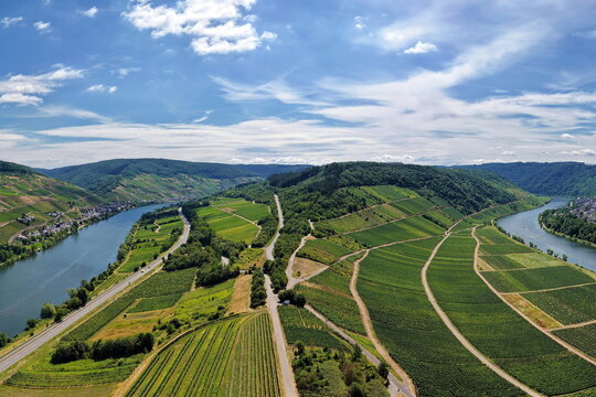 Beeindruckende Luftaufnahme der weiten Moselschleife am Zeller Hamm bei sommerlichem Wetter, gepr&auml;gt von saftig gr&uuml;nen Weinh&auml;ngen und dem gewundenen Flusslauf der Mosel.