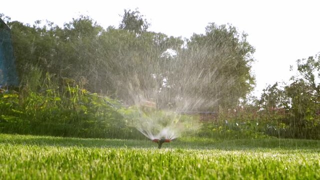 Sprinkler waters vibrant green lawn with gentle mist. Sunlight glints off each droplet of water. Lush trees frame the garden behind the sprinkler. This footage captures tranquil garden care